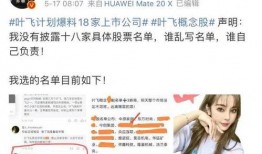 叶飞爆料公司名单最新,揭秘涉事公司名单背后的行业乱象