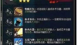 新佩恩全技能爆料攻略视频,揭秘神秘忍者技能攻略