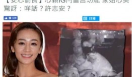 爆料二姐视频在线观看,在线观看背后的精彩瞬间