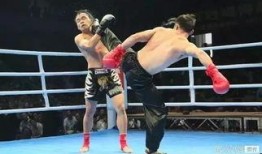 mma对战太极最新爆料,MMA对战太极巅峰对决即将上演