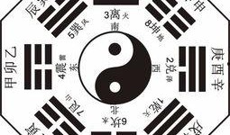 八卦爆料素材视频,视频素材背后的八卦风云