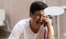 沈腾婚姻爆料视频完整版,揭秘娱乐圈夫妻背后的真相