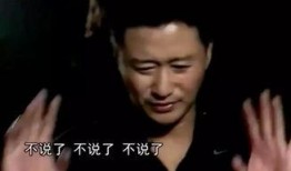 谢楠吴京爆料视频大全集,爱情与事业的完美融合