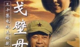 电视剧戈壁母亲全集在线观看,穿越时空的母爱传奇