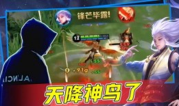 骚白爆料王者荣耀视频,王者荣耀幕后精彩瞬间大曝光！