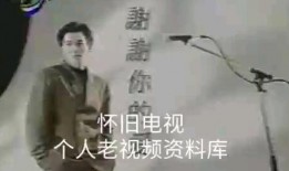 广东卫视怎样爆料新闻的,新闻爆料背后的真相与技巧