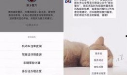 新乡今日爆料电话查询号码,一通电话，掌握城市动态！”