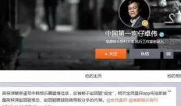 宋哲微博爆料事件视频,揭秘背后真相与争议