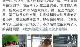 杨幂魏大勋圈内爆料视频,圈内爆料视频揭秘甜蜜瞬间