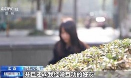 德芙爆料土鸡偷甘蔗视频,一场甜蜜与辛酸的较量