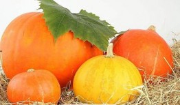 网红吃瓜免费入口在哪,独家攻略大公开