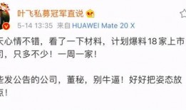 叶飞爆料公司名单最新,揭秘涉事公司名单背后的行业乱象