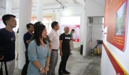 红港小镇爆料事件视频播放,真相究竟如何？