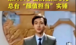 康辉爆料视频,娱乐圈幕后真相大曝光