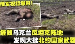 俄罗斯细菌爆料视频播放,病毒视频播放背后的真相