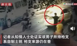 天涯爆料郑州事件视频,揭秘背后真相与争议