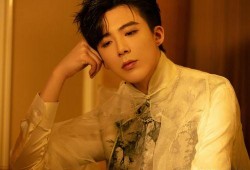 刘宇爆料男孩视频大全,男孩视频大全背后的真实故事