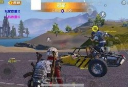 大瓜爆料和平精英视频下载,揭秘平精英热门视频下载幕后真相