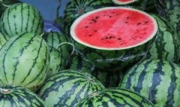 西瓜吃瓜爆料大全网站视频污