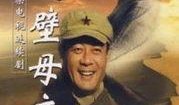 电视剧戈壁母亲全集在线观看,穿越时空的母爱传奇