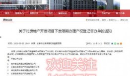 长春爆料官方公告最新消息,聚焦热点事件解读与进展