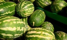 莱阳网红吃瓜事件,一场网络狂欢背后的真相与反思