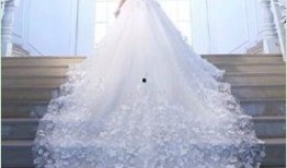 西安婚纱爆料新闻最新,最新爆料揭露惊人内幕