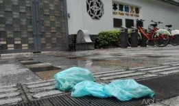 佛山顺德记者爆料新闻,揭秘佛山顺德背后惊人真相