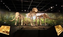 江西晨报新闻爆料热线是多少,揭秘民生热点，倾听民意心声