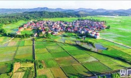 江西晨报新闻爆料热线是多少,揭秘民生热点，倾听民意心声