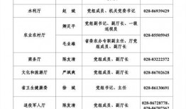 王先生爆料人员名单最新,揭秘神秘人员名单背后的惊人真相