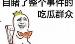 娱乐吃瓜群众模板怎么写,揭秘明星背后的故事，带你走进明星私生活