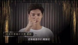 大鹅爆料文哥是真的吗视频,文哥真相揭秘，视频揭示惊人内幕