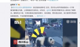 三盛集团爆料事件视频播放,事件真相与舆论风暴全解析
