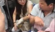 郑州爆料阿姨视频完整版,揭露惊人真相，引发社会热议