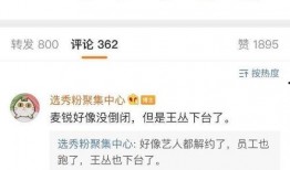 金桔旗下艺人爆料视频大全,视频大全揭秘幕后故事