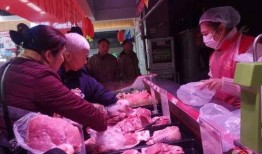 郑州猪肉爆料事件视频播放,真相与争议交织