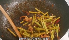 鱿鱼爆料视频,揭秘网络爆料背后的真相与争议