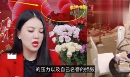 新疆明星爆料视频大全播放,精彩瞬间尽收眼底