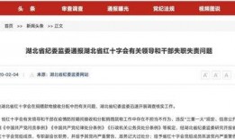 新闻网红爆料视频大全播放,热门事件瞬间回顾