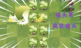 最新 植物爆料视频大全,最新爆料视频大全揭秘大自然奥秘