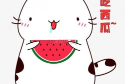 幸福吃瓜表情包下载免费,轻松传递欢乐心情