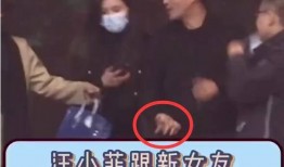最新爆料汪小菲视频,揭秘背后惊人真相！