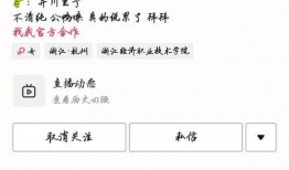 迅雷吃瓜网红,揭秘网络红人的幕后真相