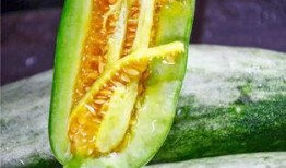 宿州吃瓜网红是谁,瓜田里的美食传奇