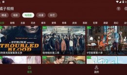 八卦爆料素材视频,视频素材背后的八卦风云