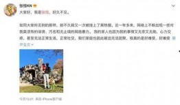 娱乐圈爆料录音,揭秘明星背后的真相