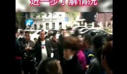 郑州小学爆料事件视频播放,视频揭露惊人真相