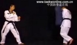 跆拳道腿法爆料视频大全,视频大全深度解析