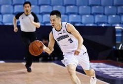 山东队最新爆料杨鸣